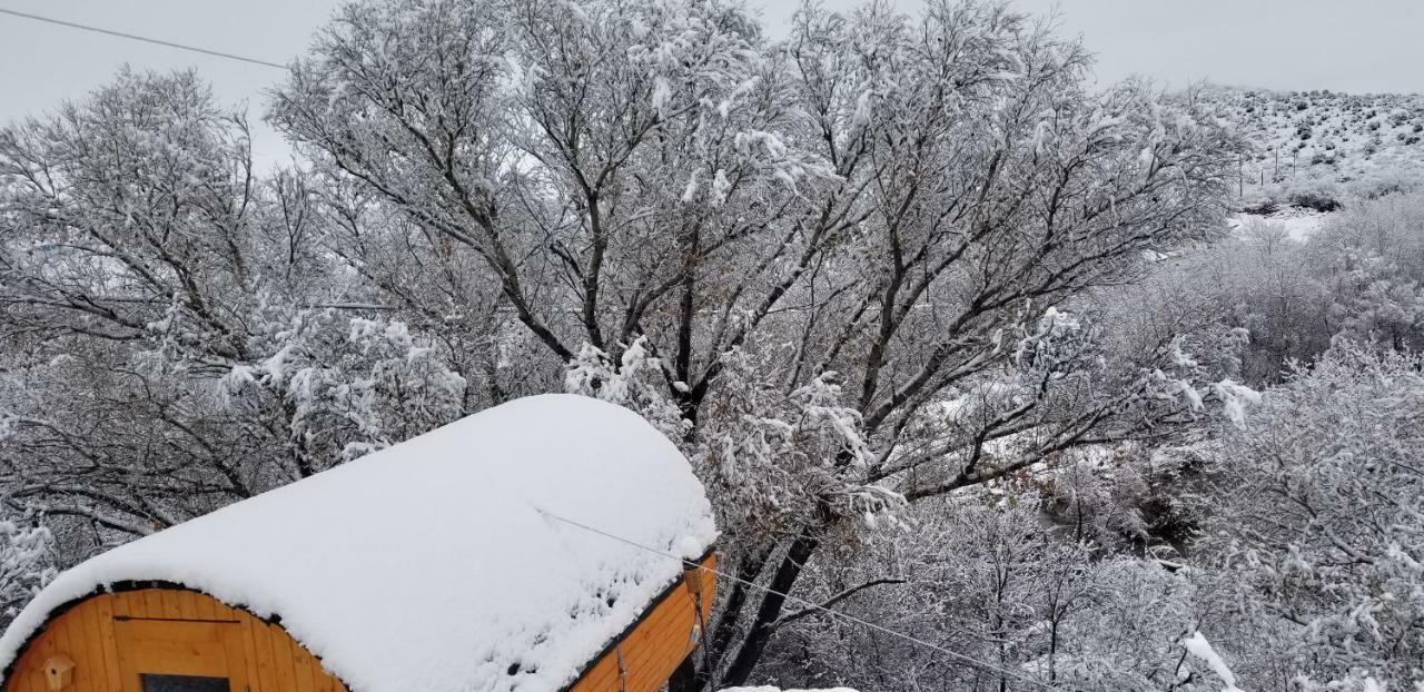 Cave, Yurt, Bubble And Other Glamping Adventures Hotel Sedona Bagian luar foto